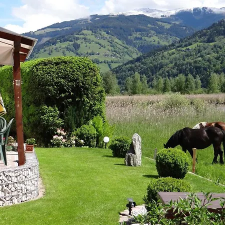 Plattner Apartment Zell am See